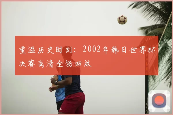 重温历史时刻：2002年韩日世界杯决赛高清全场回放