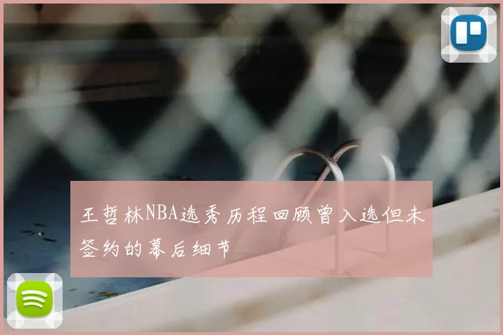 王哲林NBA选秀历程回顾曾入选但未签约的幕后细节