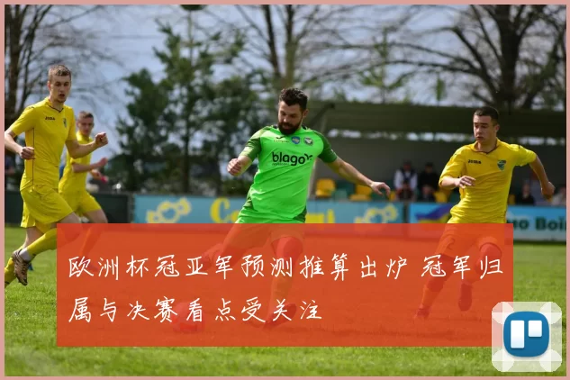 欧洲杯冠亚军预测推算出炉 冠军归属与决赛看点受关注