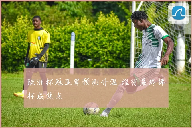 欧洲杯冠亚军预测升温 谁将最终捧杯成焦点