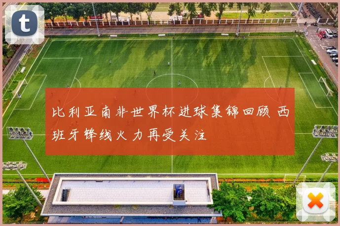 比利亚南非世界杯进球集锦回顾 西班牙锋线火力再受关注
