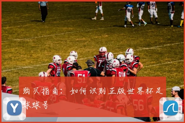 购买指南:如何识别正版世界杯足球球号