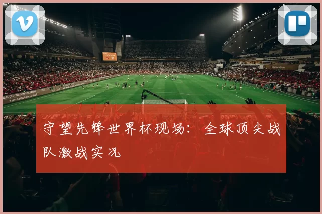 守望先锋世界杯现场：全球顶尖战队激战实况