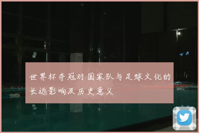 世界杯夺冠对国家队与足球文化的长远影响及历史意义