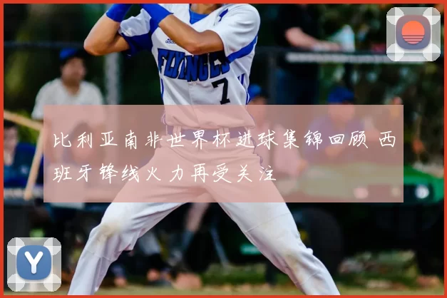 比利亚南非世界杯进球集锦回顾 西班牙锋线火力再受关注