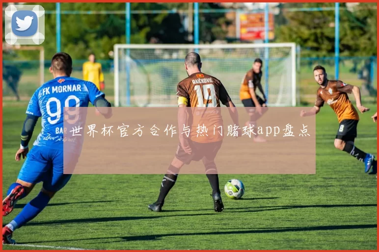 世界杯官方合作与热门赌球app盘点