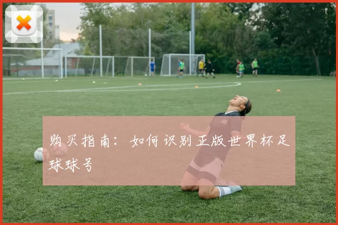 购买指南：如何识别正版世界杯足球球号