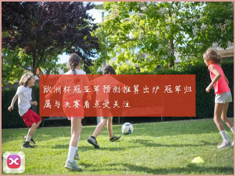 欧洲杯冠亚军预测推算出炉 冠军归属与决赛看点受关注