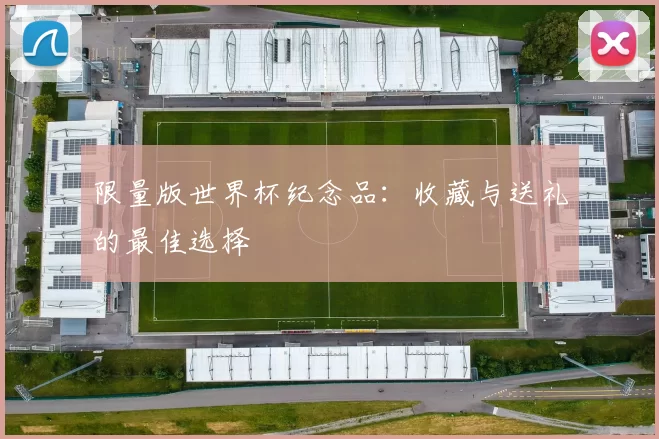 限量版世界杯纪念品：收藏与送礼的最佳选择